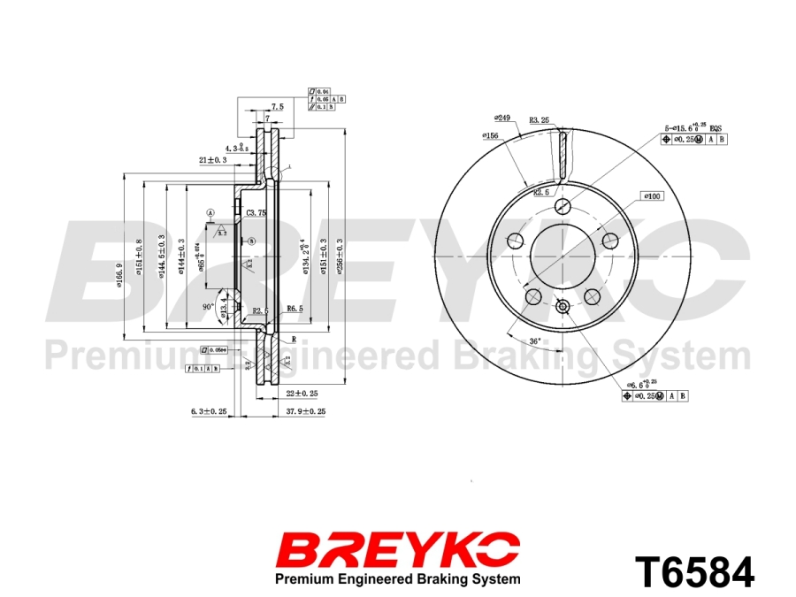 DAVID VASCO T6584 BREYKO Brake Disc