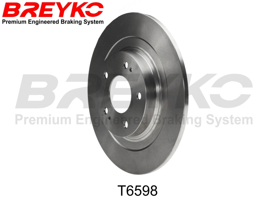 DAVID VASCO T6598 BREYKO Brake Disc