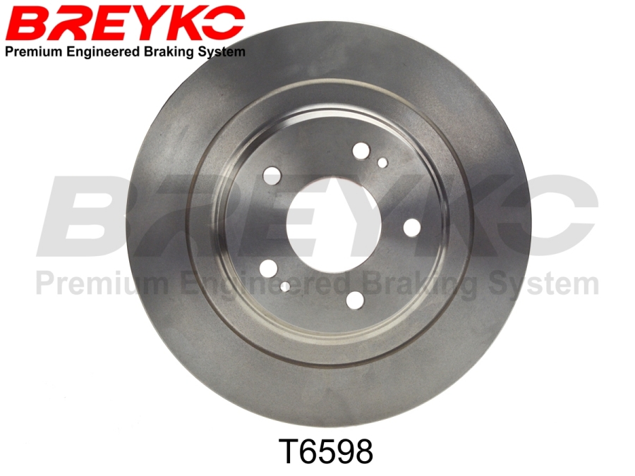 DAVID VASCO T6598 BREYKO Brake Disc