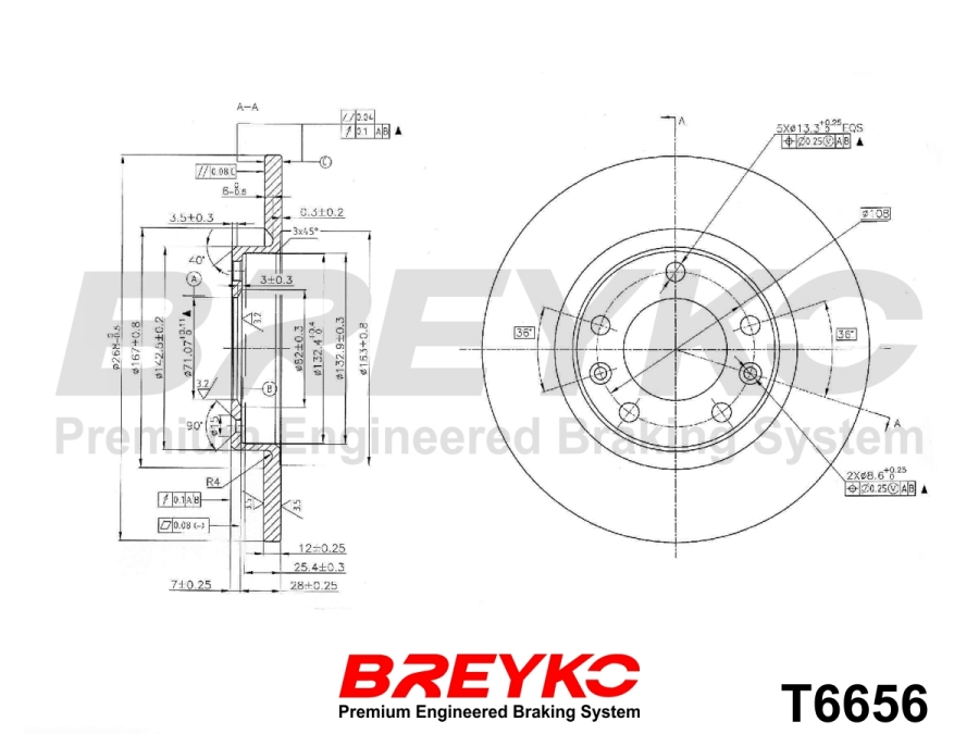 DAVID VASCO T6656 BREYKO Brake Disc