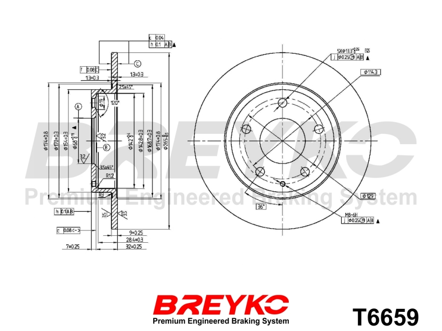 DAVID VASCO T6659 BREYKO Brake Disc