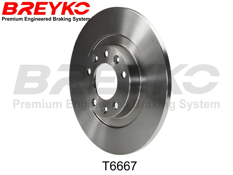 DAVID VASCO T6667 BREYKO Brake Disc