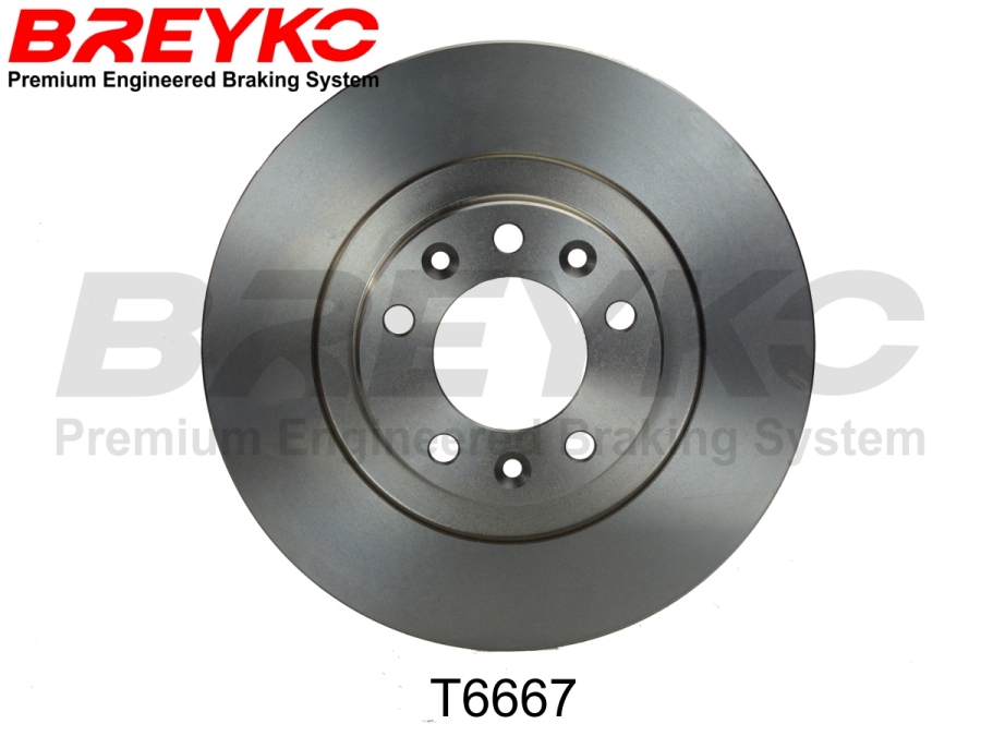 DAVID VASCO T6667 BREYKO Brake Disc