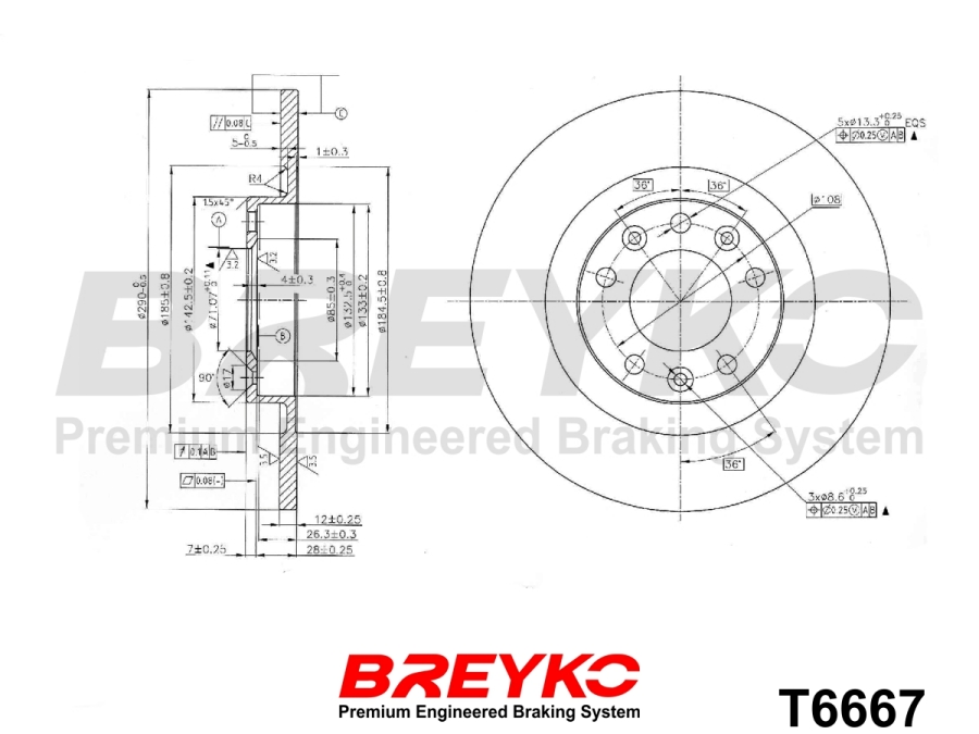 DAVID VASCO T6667 BREYKO Brake Disc