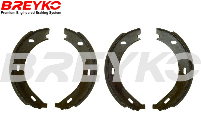 DAVID VASCO W8688 BREYKO Brake Shoe Set