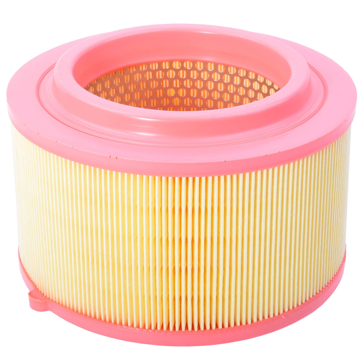 Castrol Filters CA0421 Air Filter