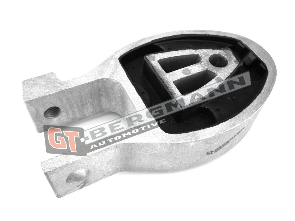 GT-BERGMANN GT25-007 Mounting, engine