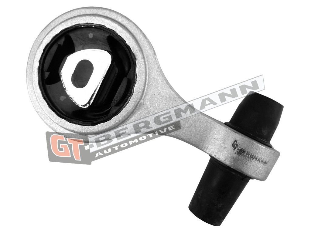 GT-BERGMANN GT25-011 Mounting, engine