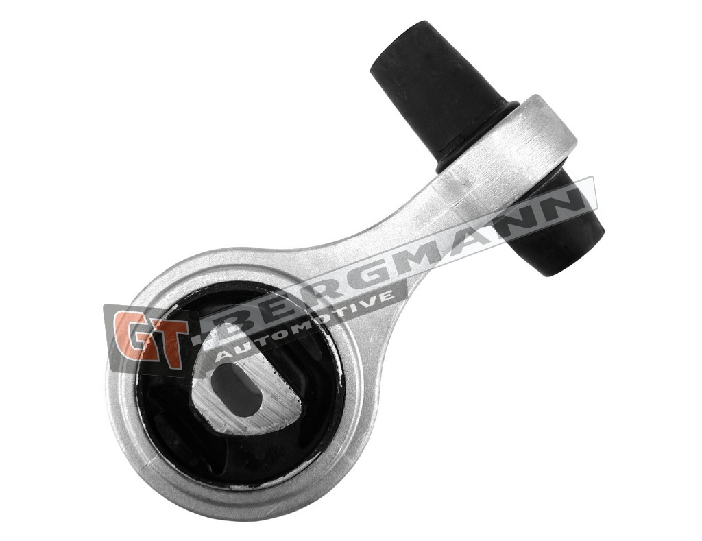 GT-BERGMANN GT25-011 Mounting, engine