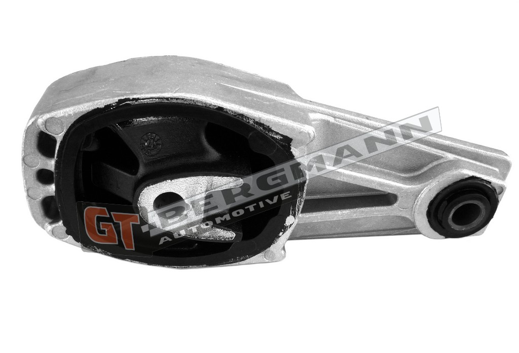 GT-BERGMANN GT25-015 Uloženie, motor