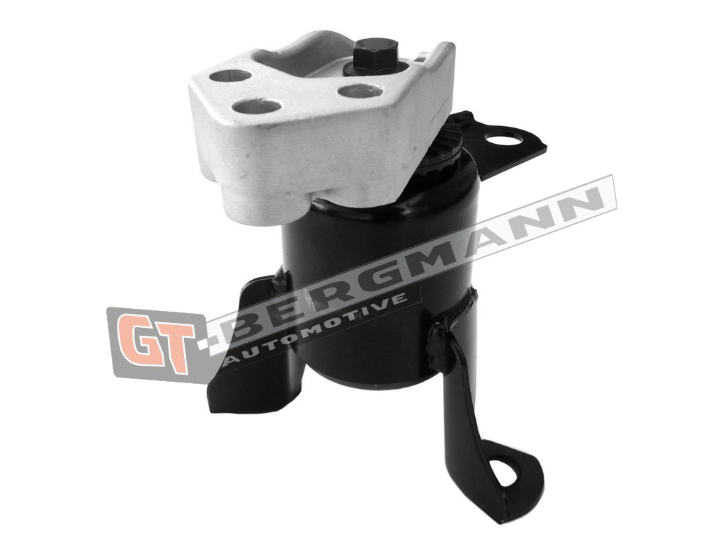 GT-BERGMANN GT25-035 Mounting, engine