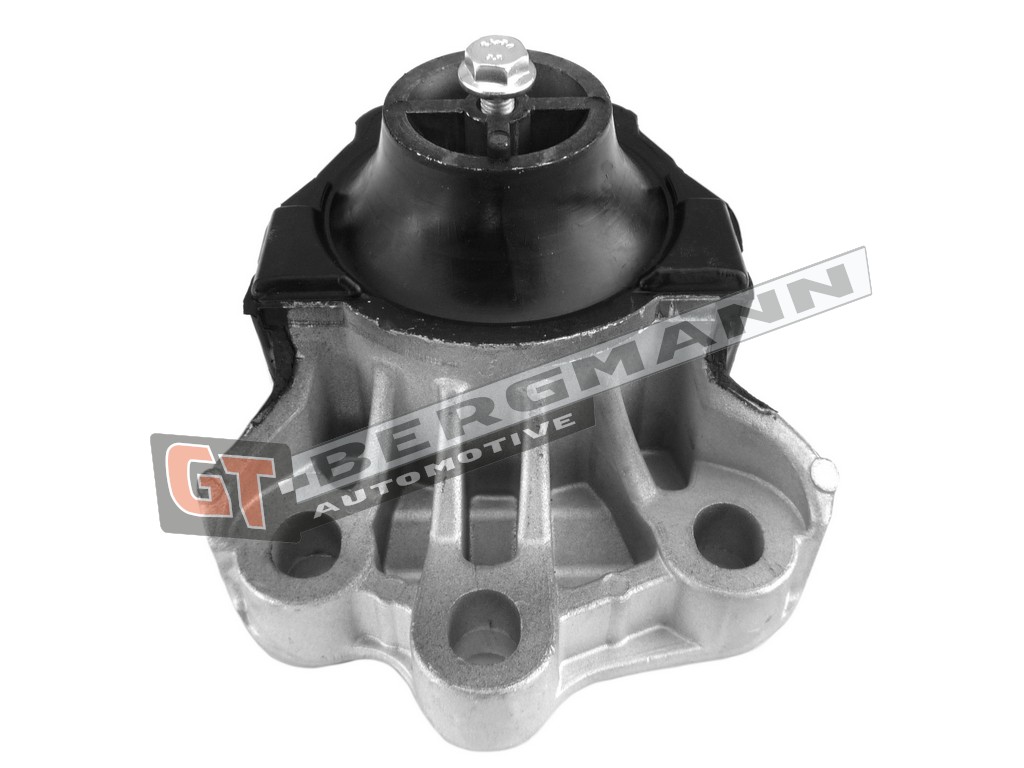 GT-BERGMANN GT25-036 Mounting, engine