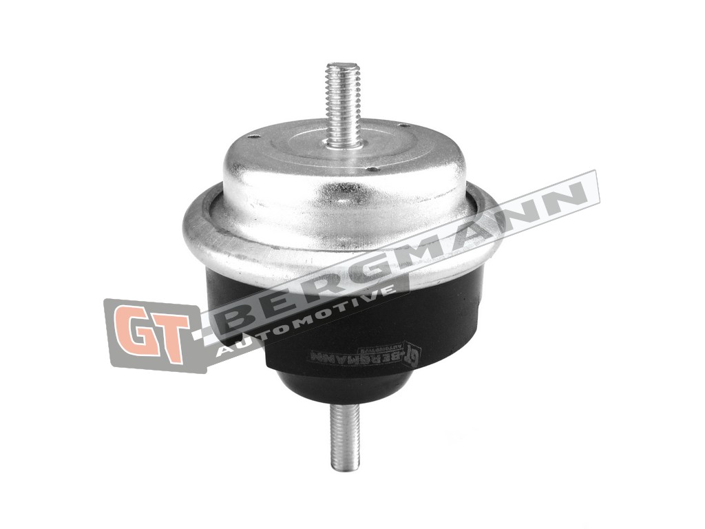 GT-BERGMANN GT25-045 Mounting, engine