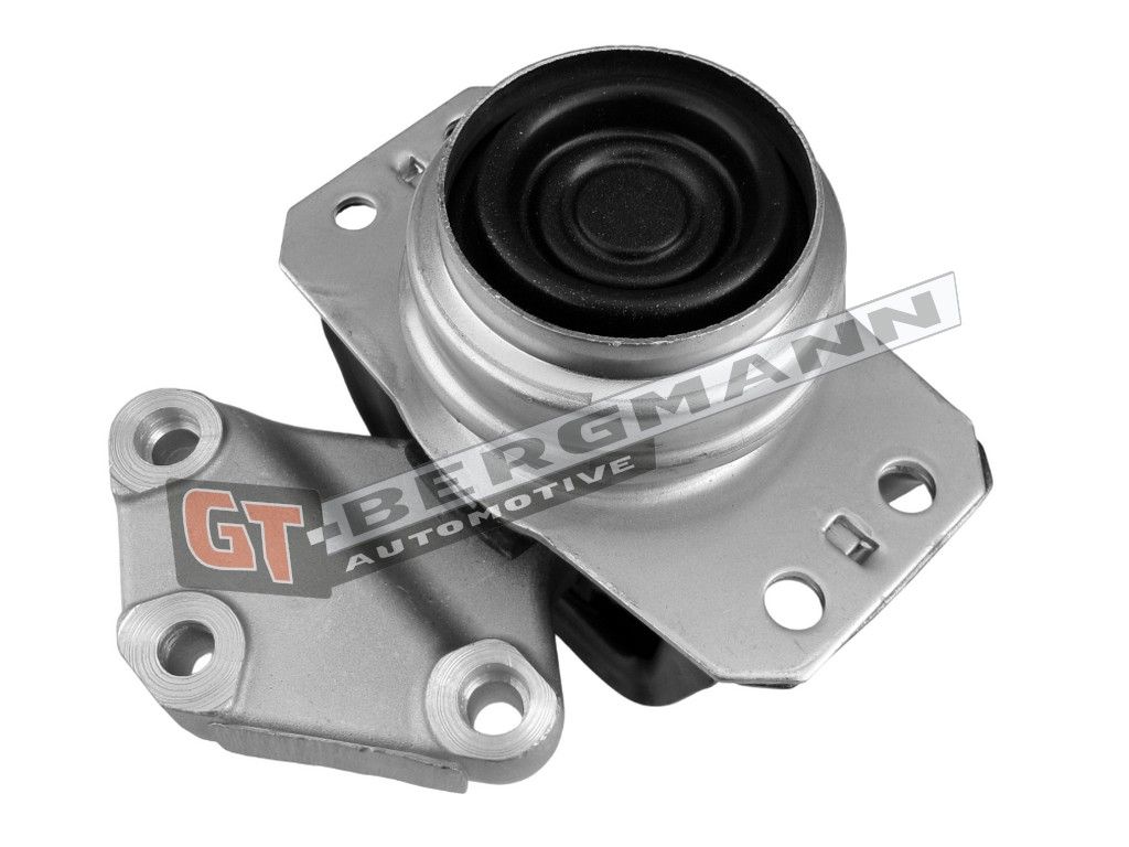 GT-BERGMANN GT25-051 Mounting, engine