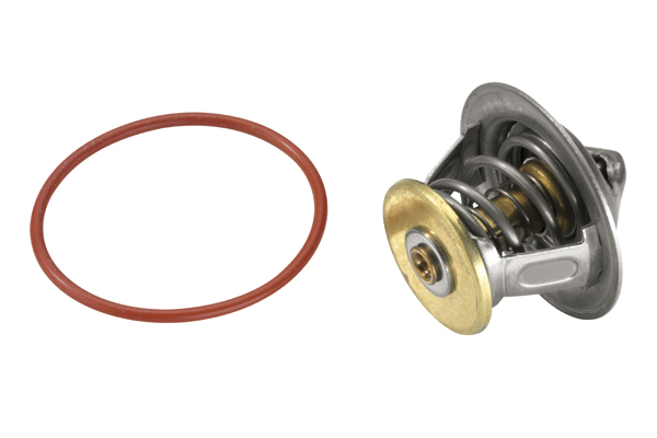 BorgWarner (Wahler)...