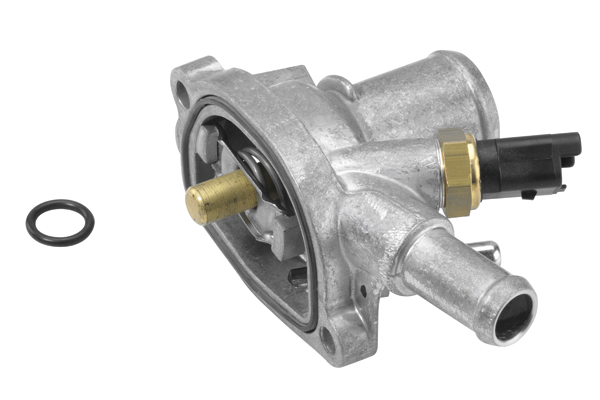 BorgWarner (Wahler)...