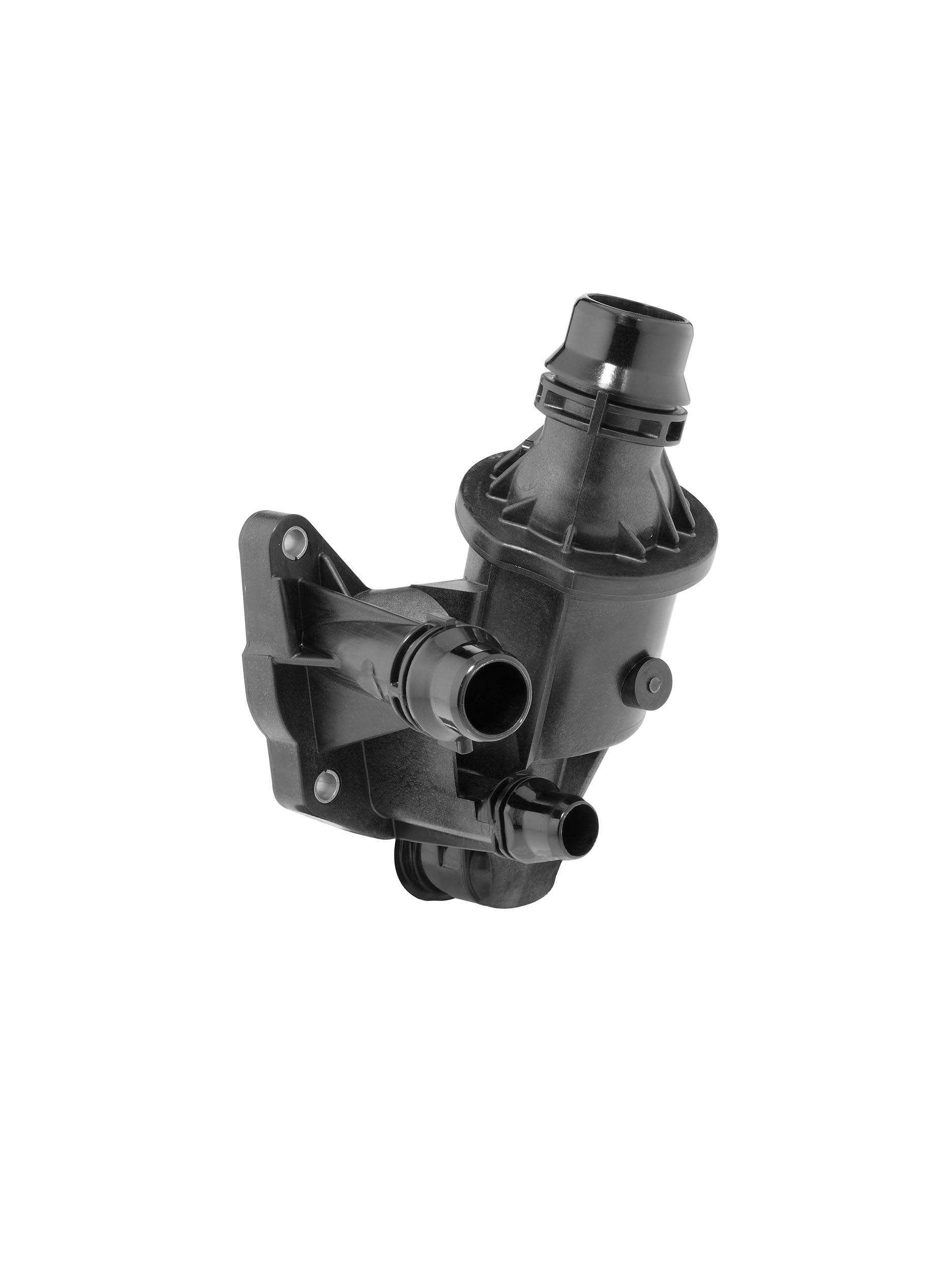 BorgWarner (Wahler)...