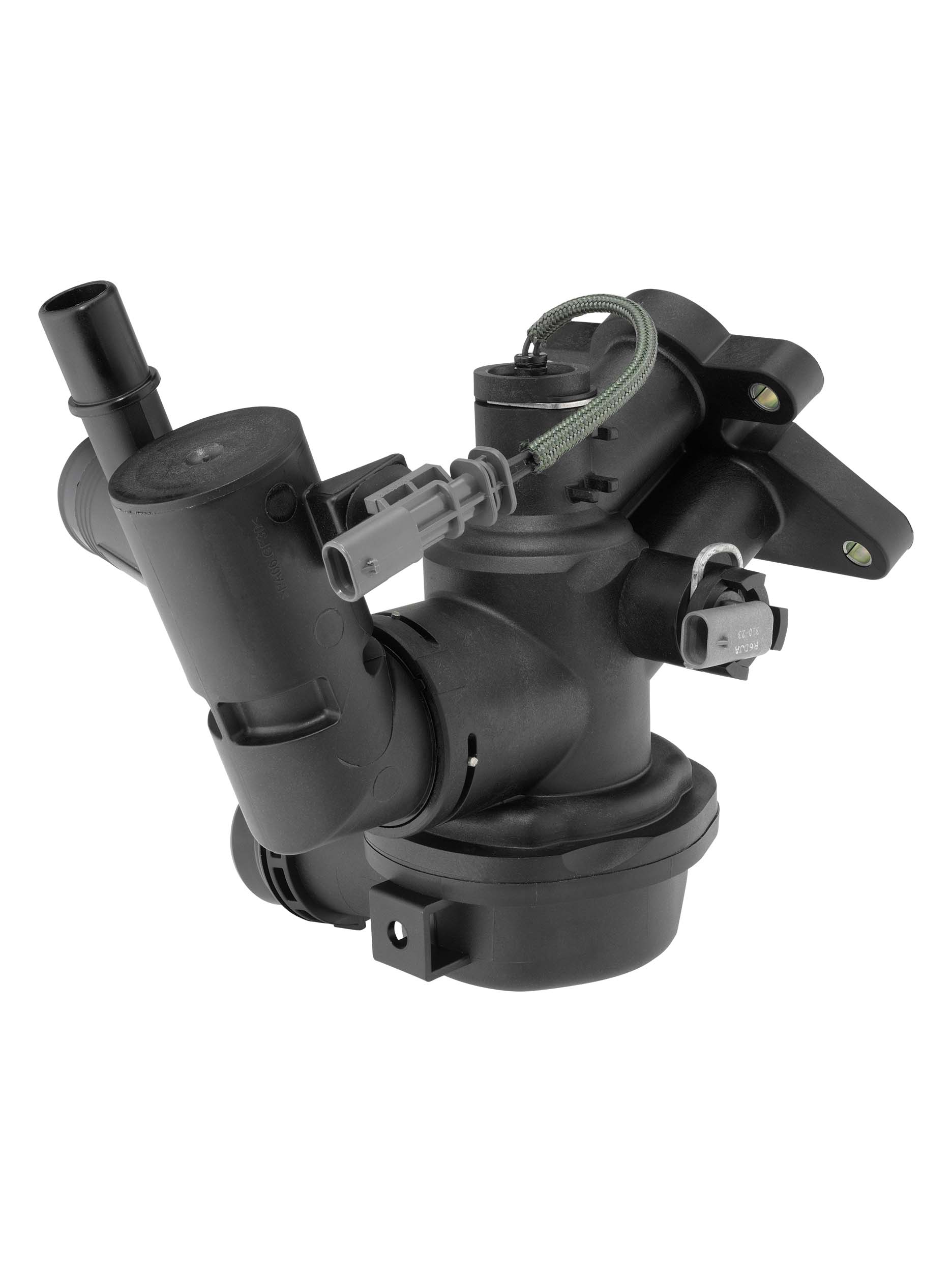 BorgWarner (Wahler)...