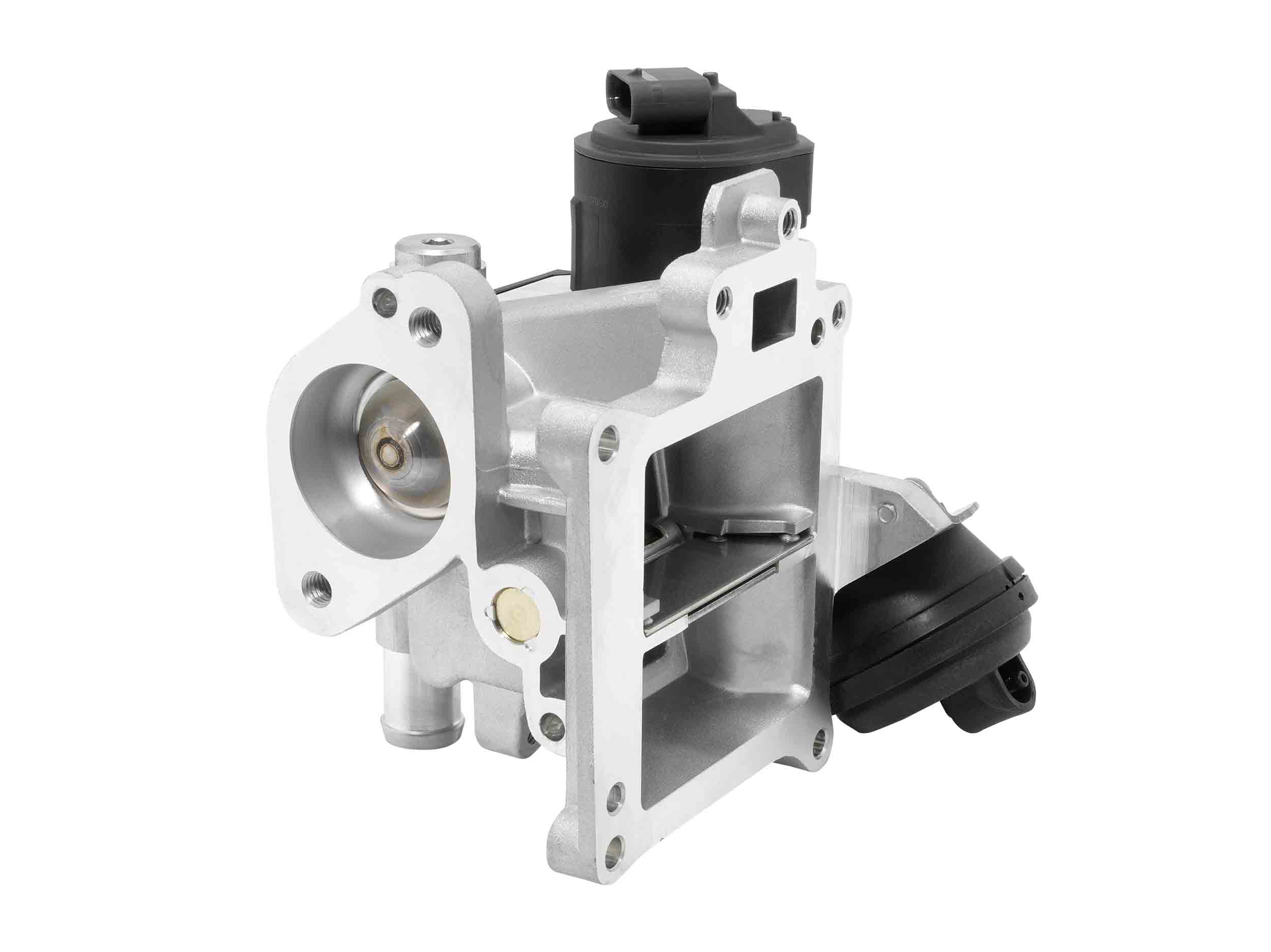 BorgWarner (Wahler)...