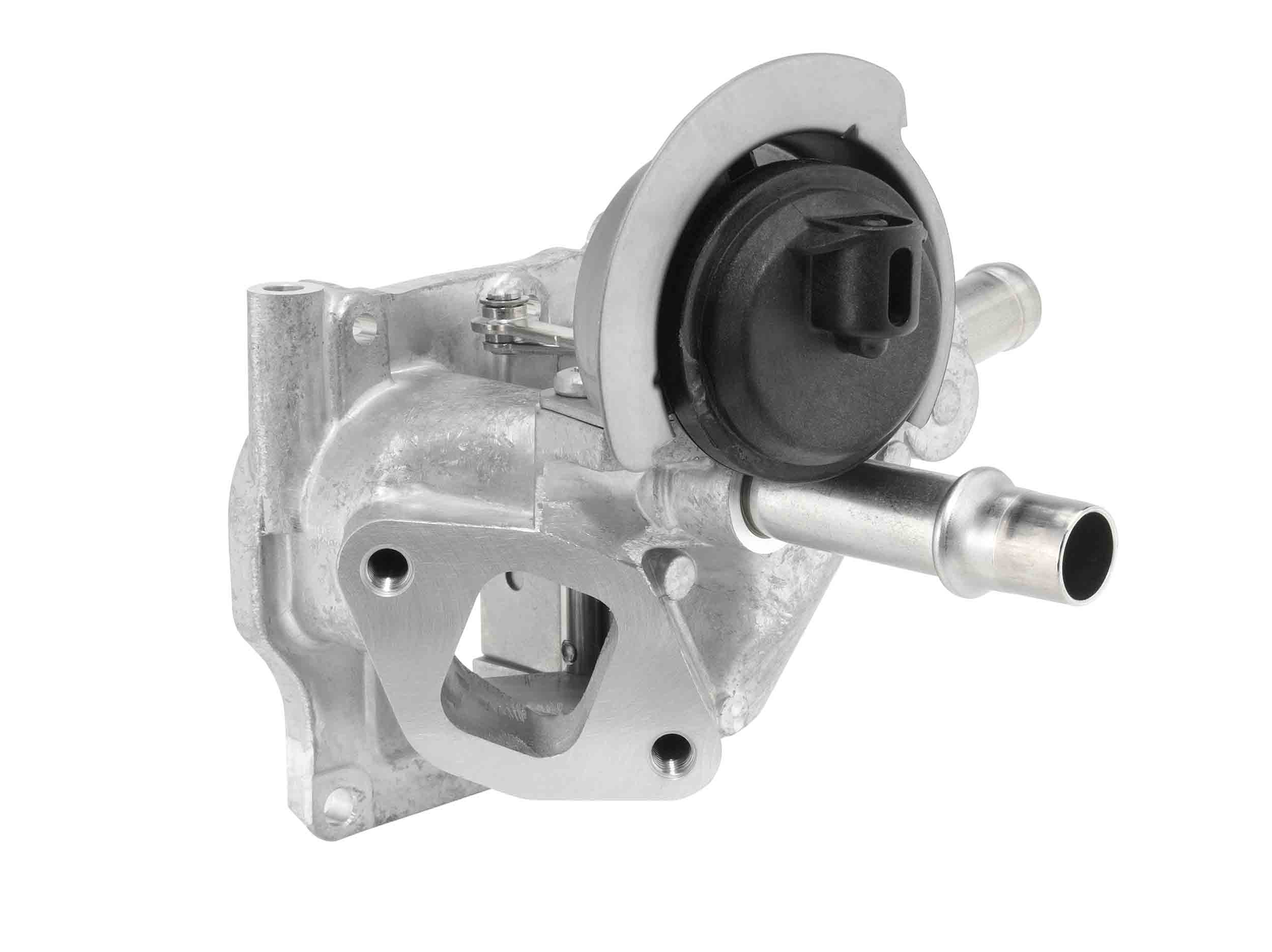 BorgWarner (Wahler)...
