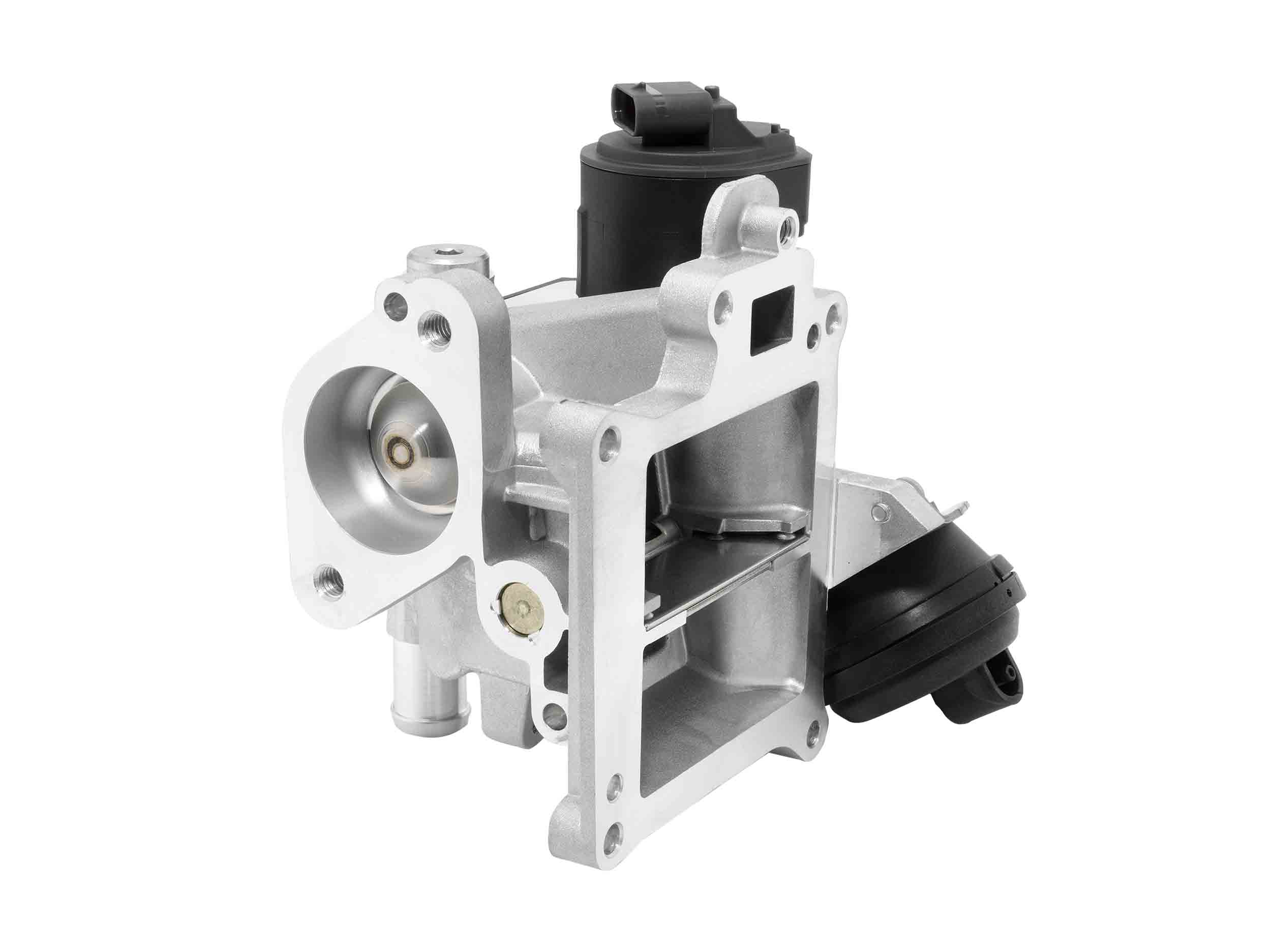 BorgWarner (Wahler)...