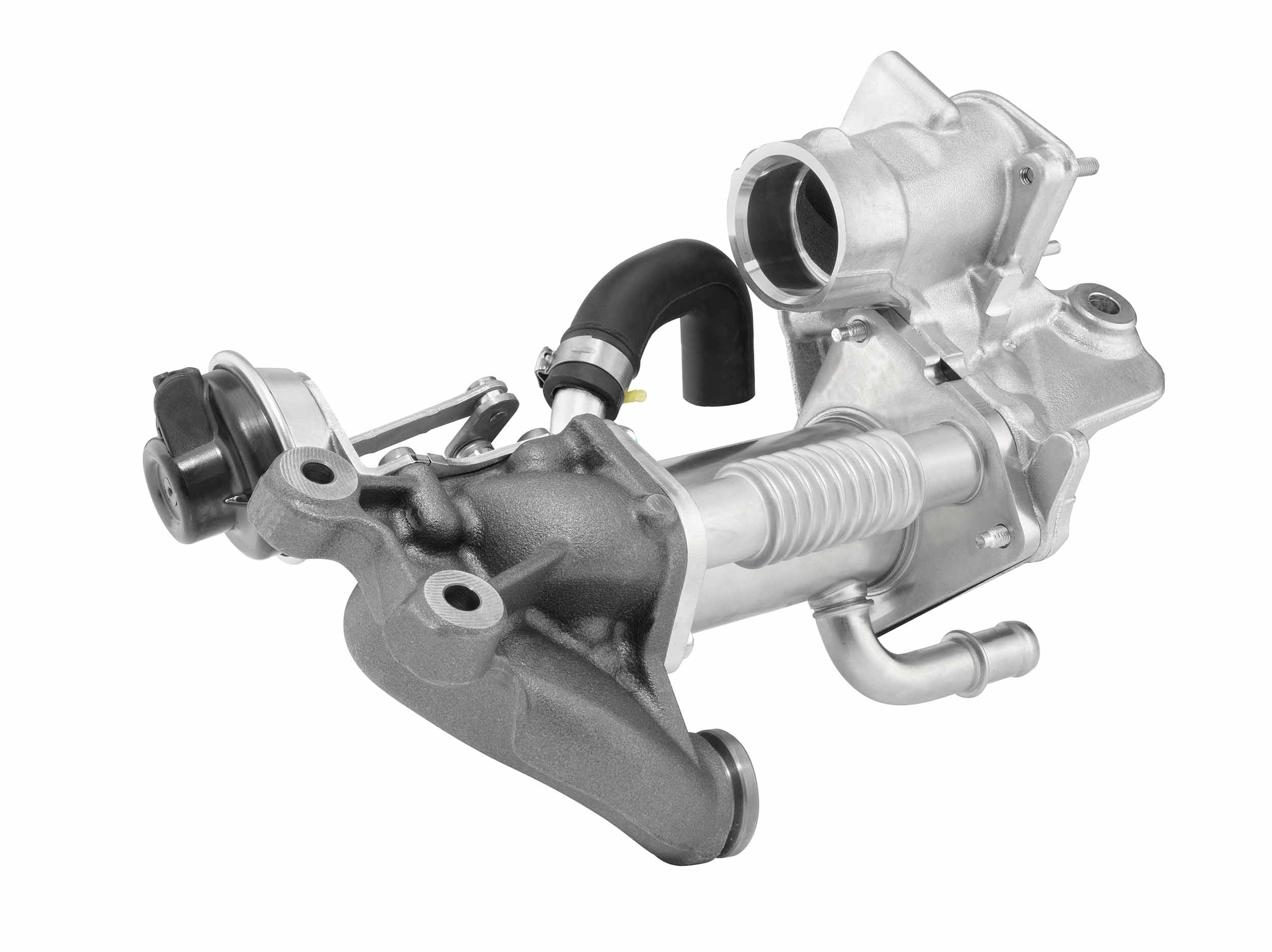 WAHLER 790965D Kjølevifte, radiator