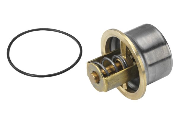 WAHLER 4621.80D Thermostat, coolant