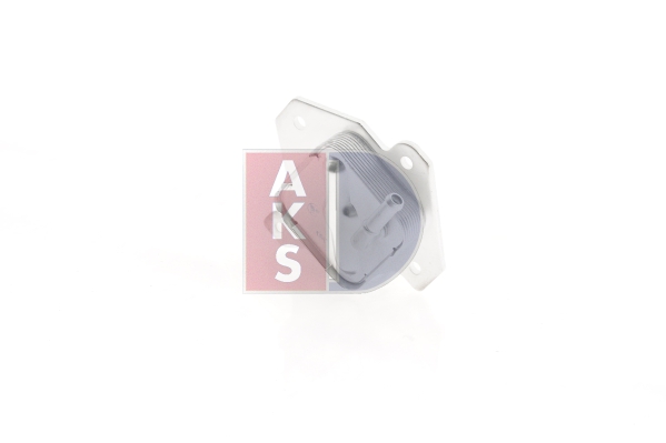 AKS DASIS 216001N Radiatore...