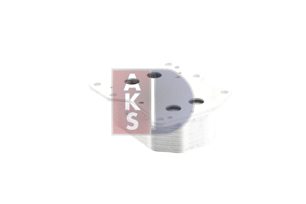 AKS DASIS 256000N Radiatore...
