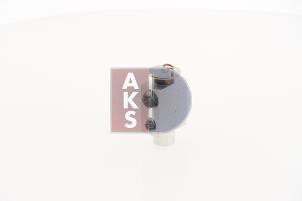 AKS DASIS 840070N Valvola...