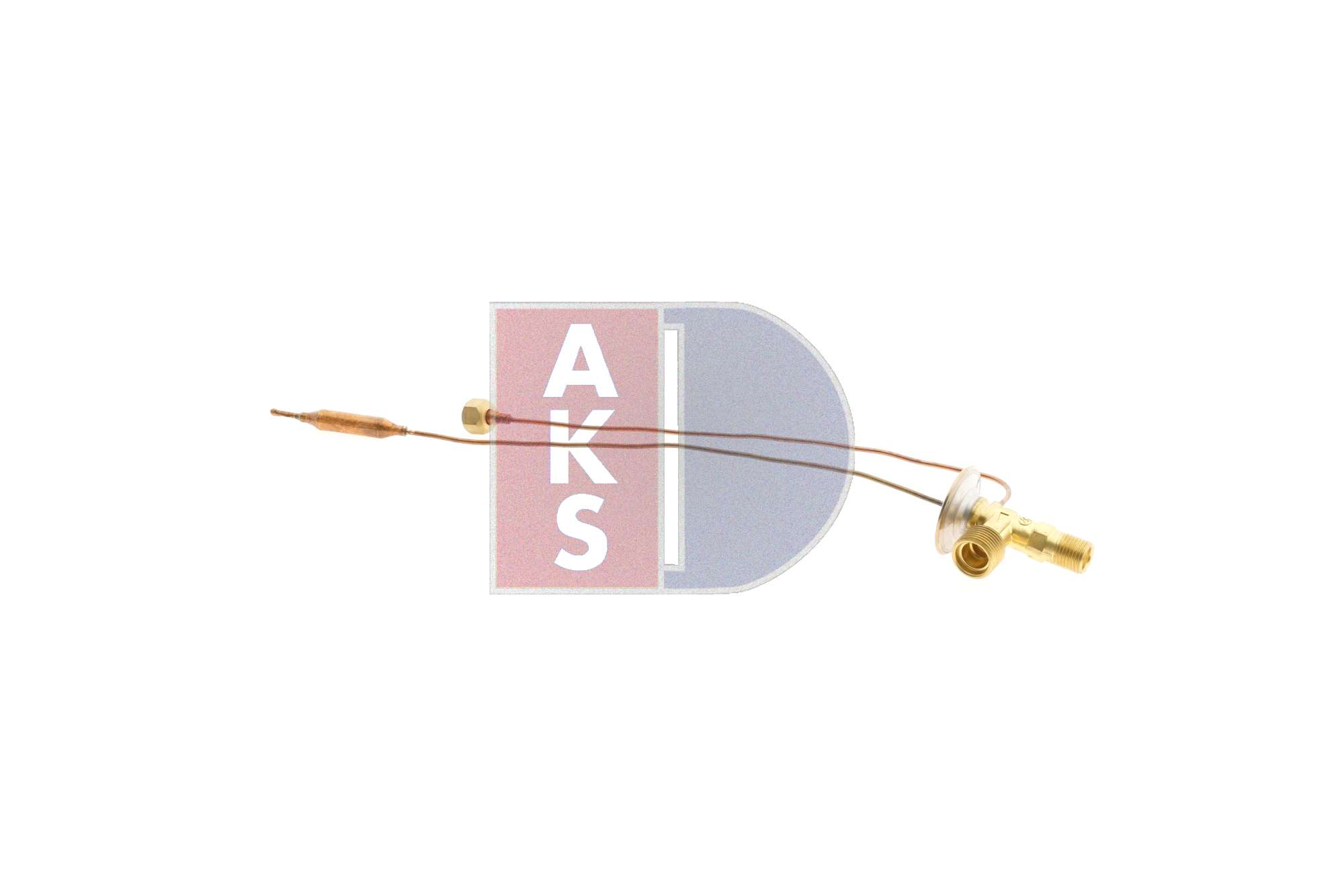 AKS DASIS 840450N Valvola...
