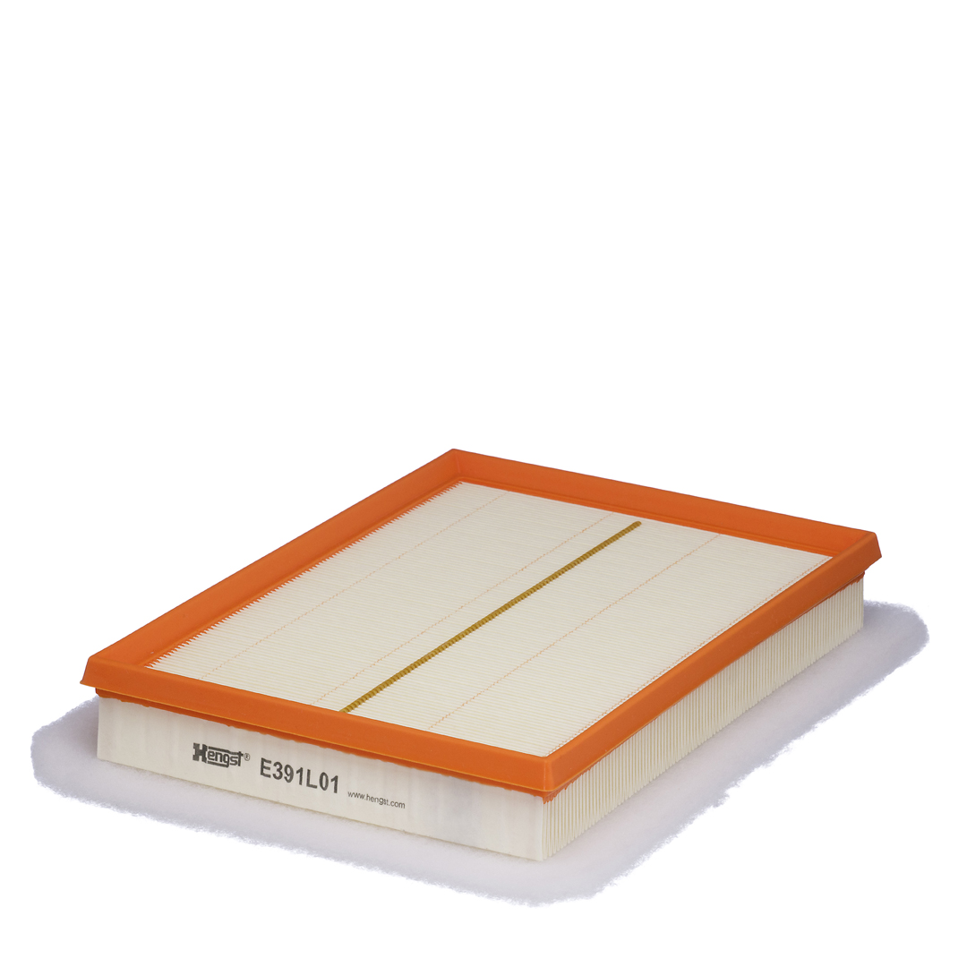 HENGST FILTER E391L01 Air Filter