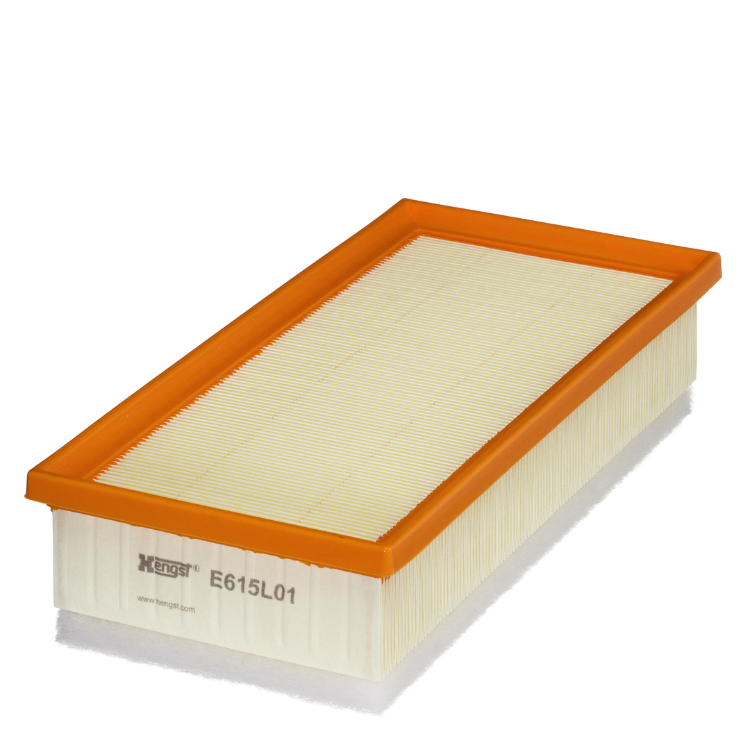 HENGST FILTER E615L01 Air Filter