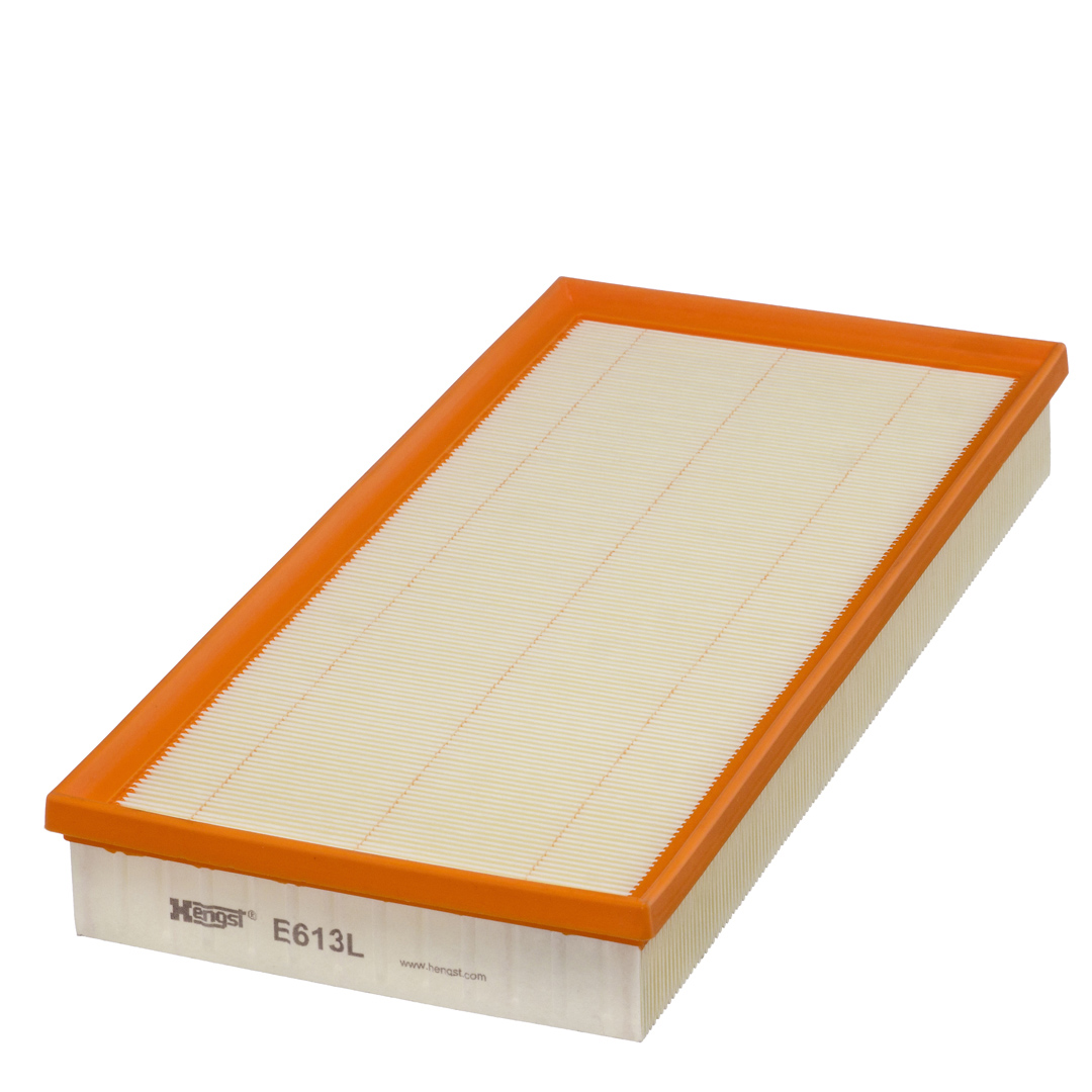 HENGST FILTER E613L Air Filter