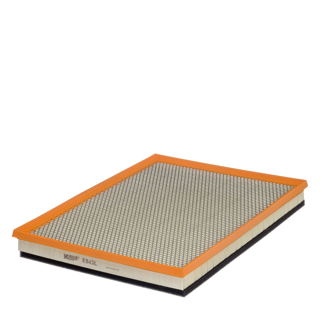 HENGST FILTER E843L Air Filter