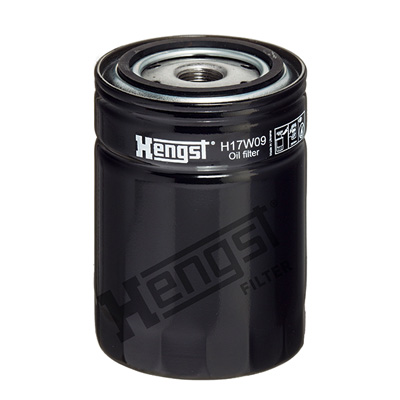 HENGST FILTER H17W09 Filtro aria, Compressore - Aria aspirazione