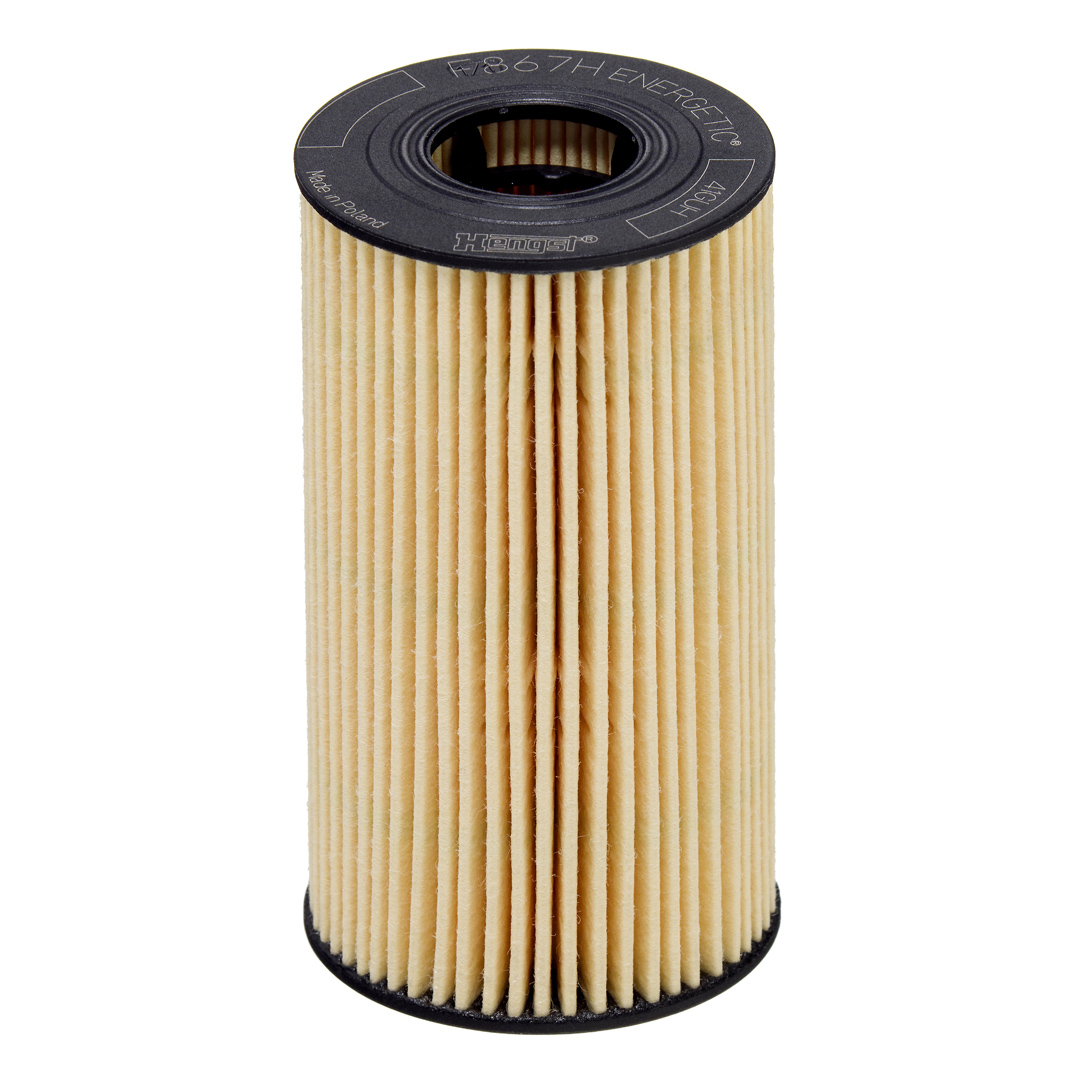 HENGST FILTER E867H D370 Oil Filter for JAGUAR LAND ROVER LAND ROVER (CHERY)