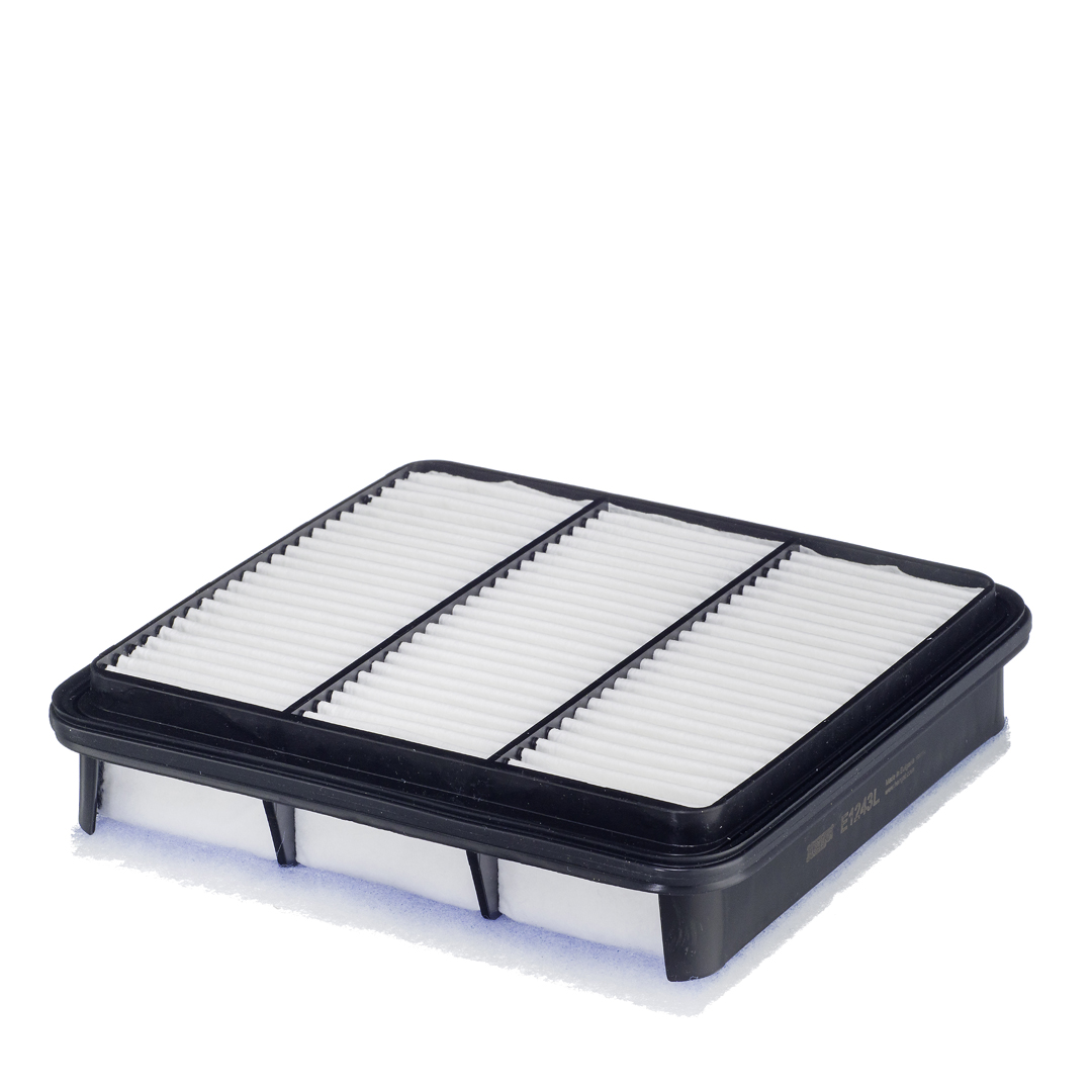 HENGST FILTER E1243L Air Filter
