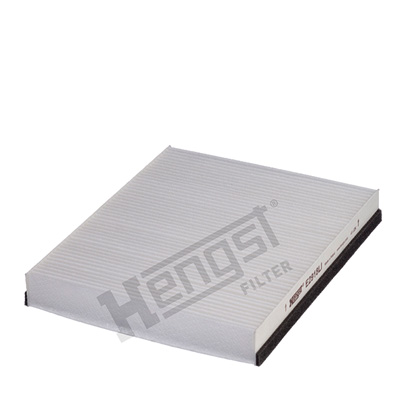 HENGST FILTER E2918LI...