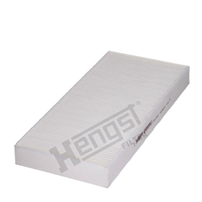 HENGST FILTER E6955LI...