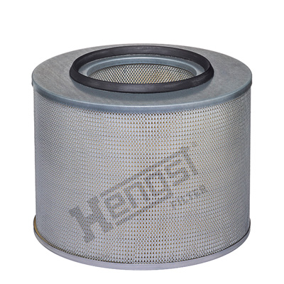 HENGST FILTER E273L...