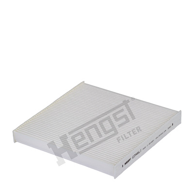 HENGST FILTER E2946LI...