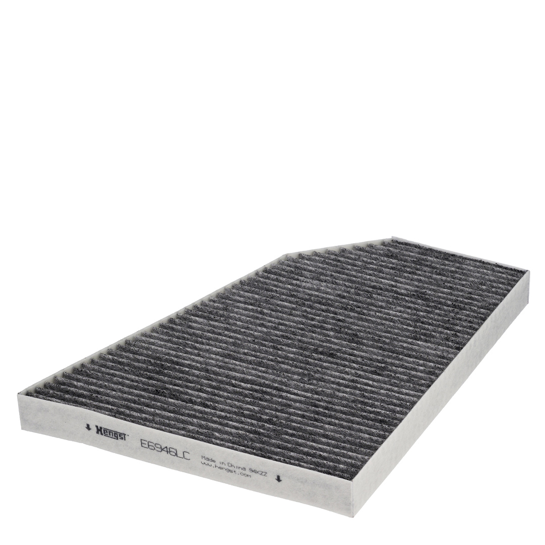 HENGST FILTER E6946LC Filter, cabin air for TESLA