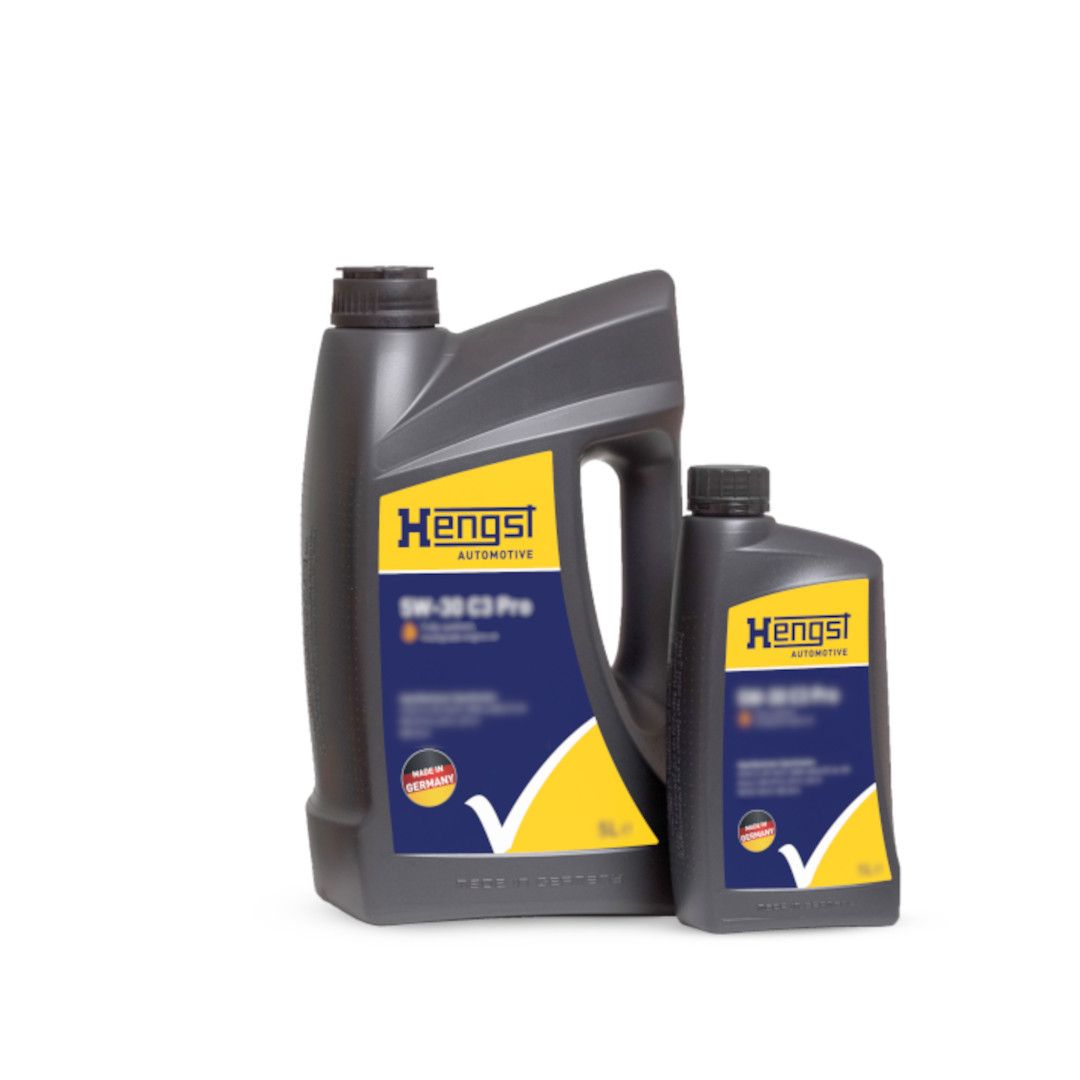 HENGST FILTER 4T 10W-30 Λάδι κινητήρα