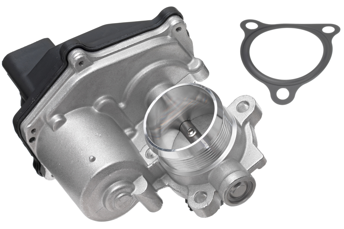 EGR Valve