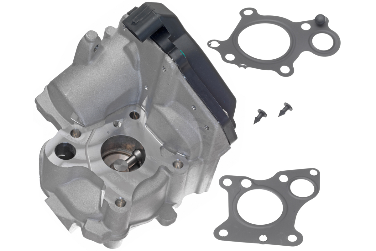 EGR Valve