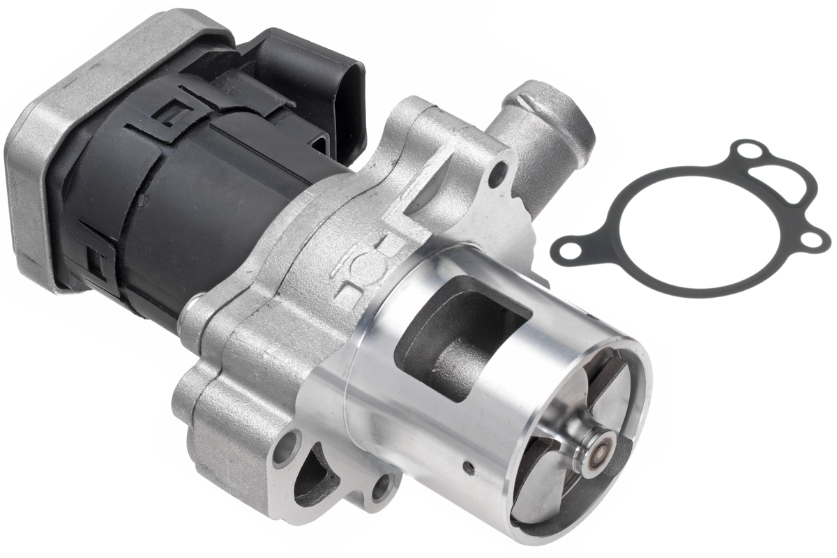 EGR Valve
