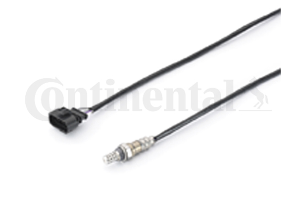 Oxygen Sensor