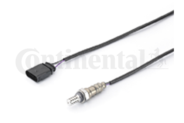 Oxygen Sensor