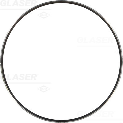 GLASER X59556-01 Ring Gear, crankshaft frontal sided for DRÖGMÖLLER FUSO (MITSUBISHI) KAMAZ MERCEDES-BENZ MITSUBISHI NEOPLAN PAD